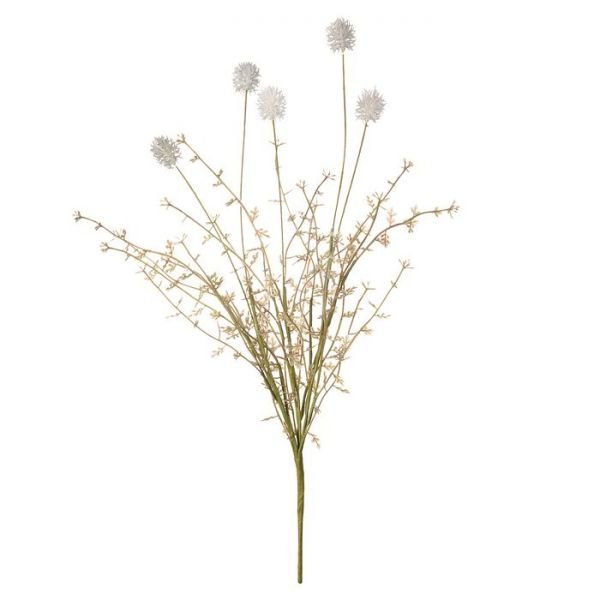 Изображение загружено