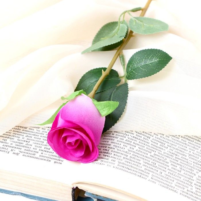 Изображение загружено