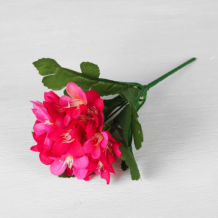 Изображение загружено