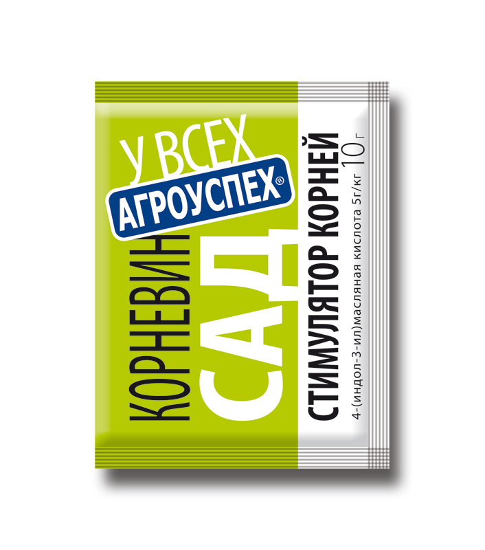 Изображение загружено