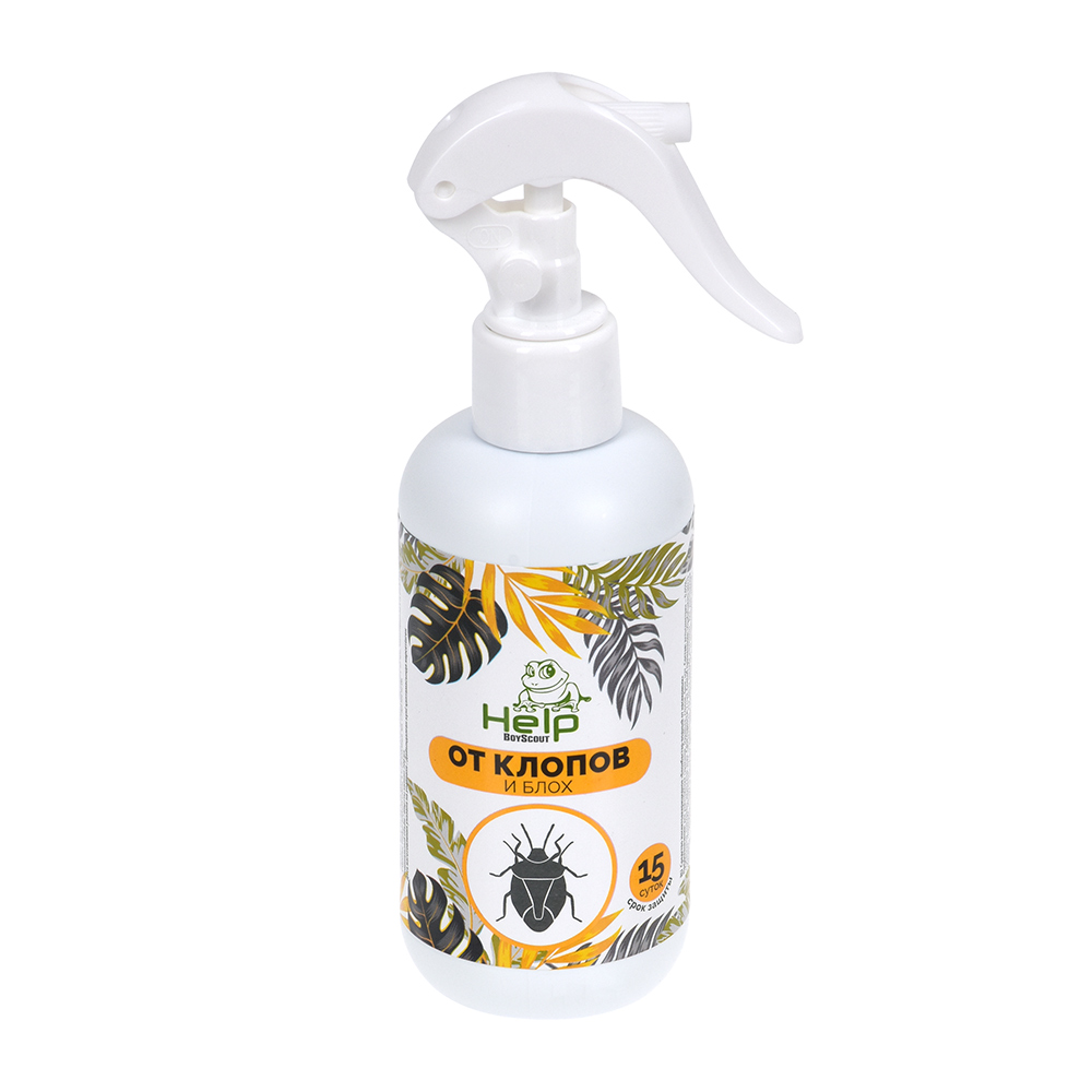 Изображение загружено