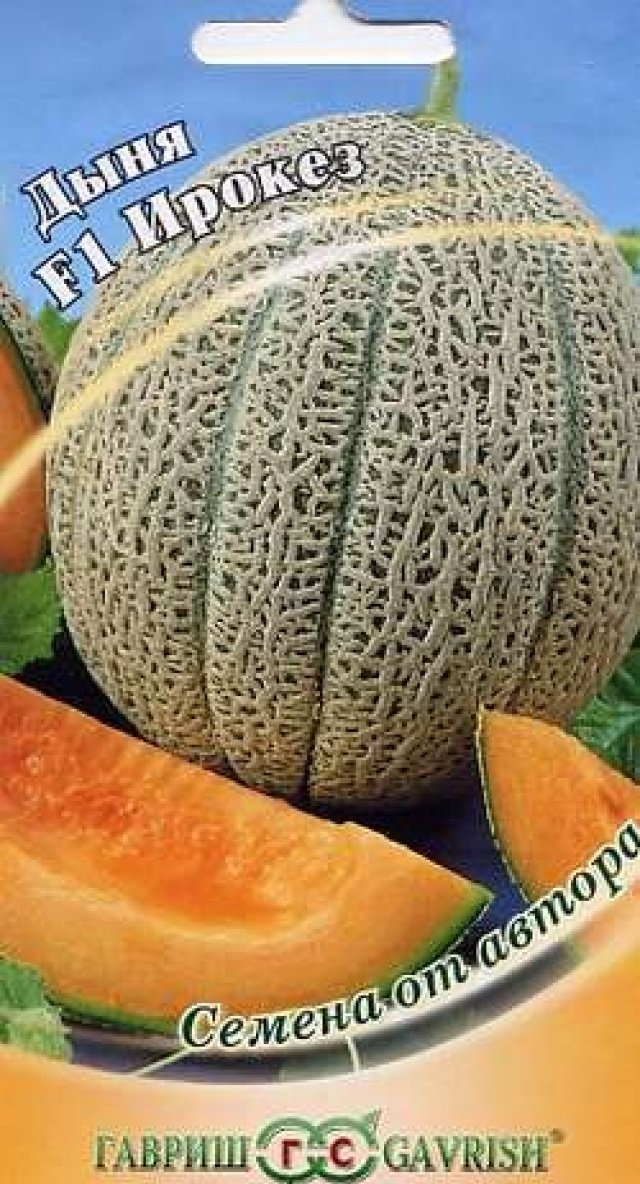 Изображение загружено