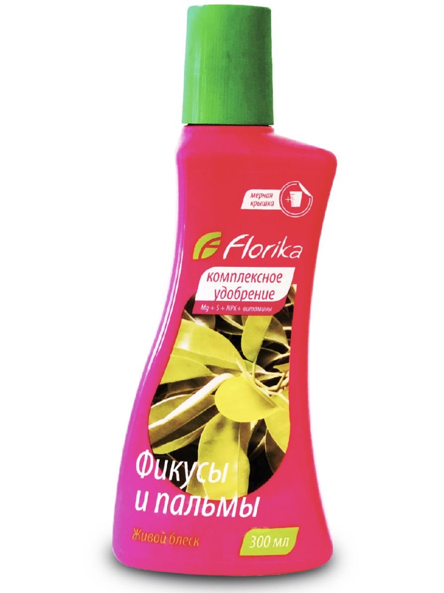 Изображение загружено