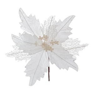 x4rn2jq5z15hadnyw4glpq7w2zfw8x8v