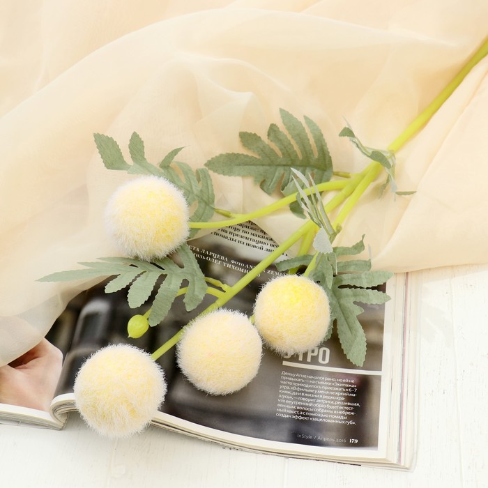 700 - 2025-03-22T112920.762