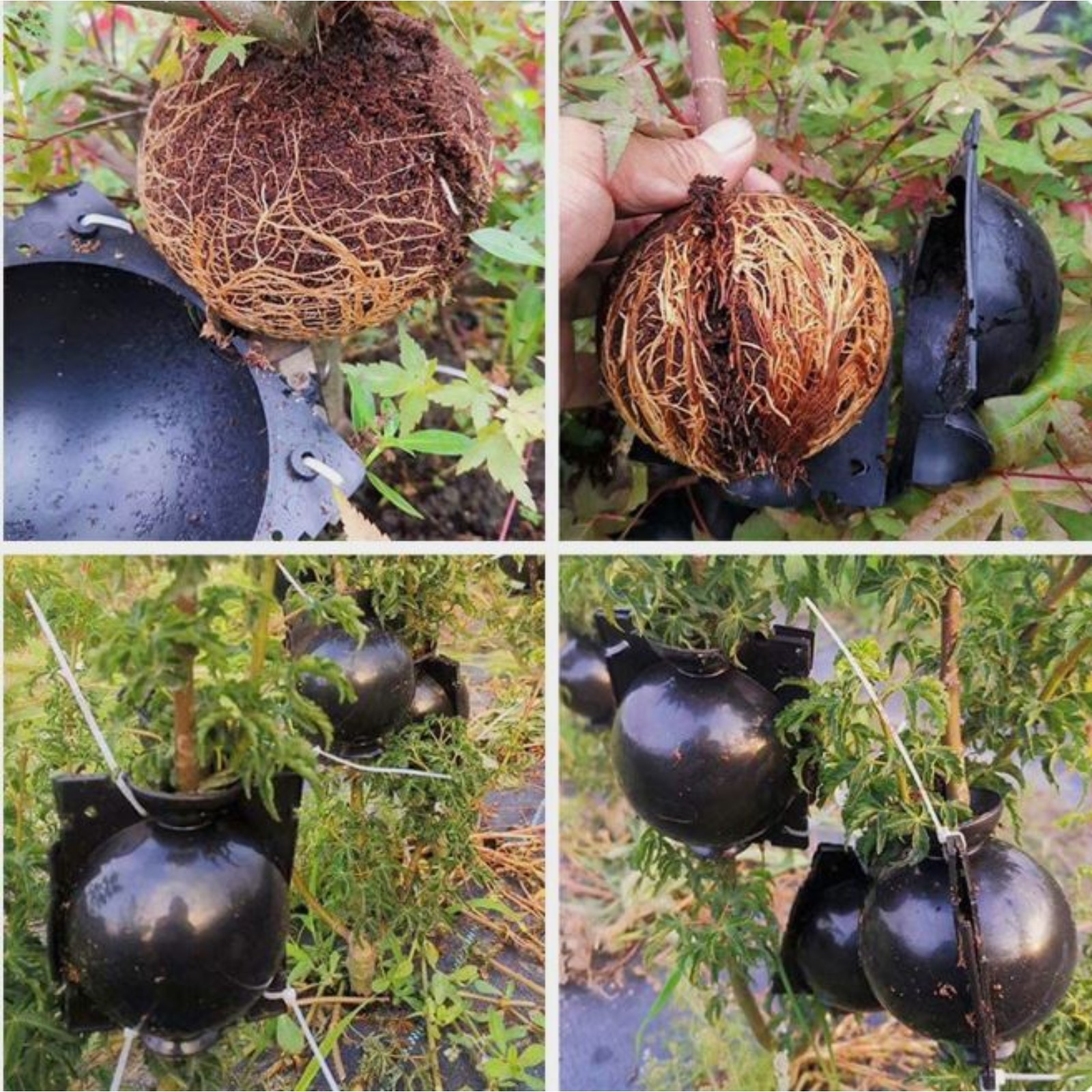 Изображение загружено