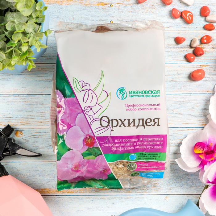 700 - 2025-02-06T152440.178