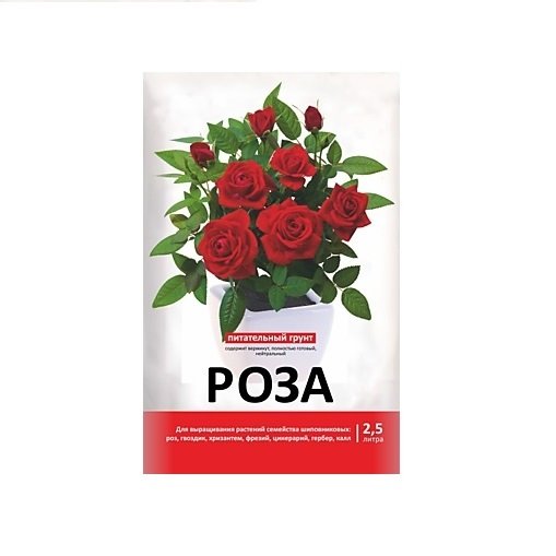 Изображение загружено