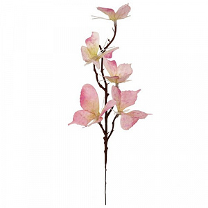 e58ebb8ef639ab2b0a7d08a45babba24