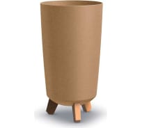 Изображение загружено