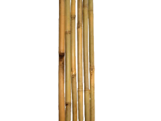 sclt4cyqe7iirayn3rxn1edk270z34wt