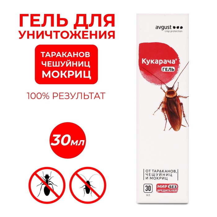 Изображение загружено