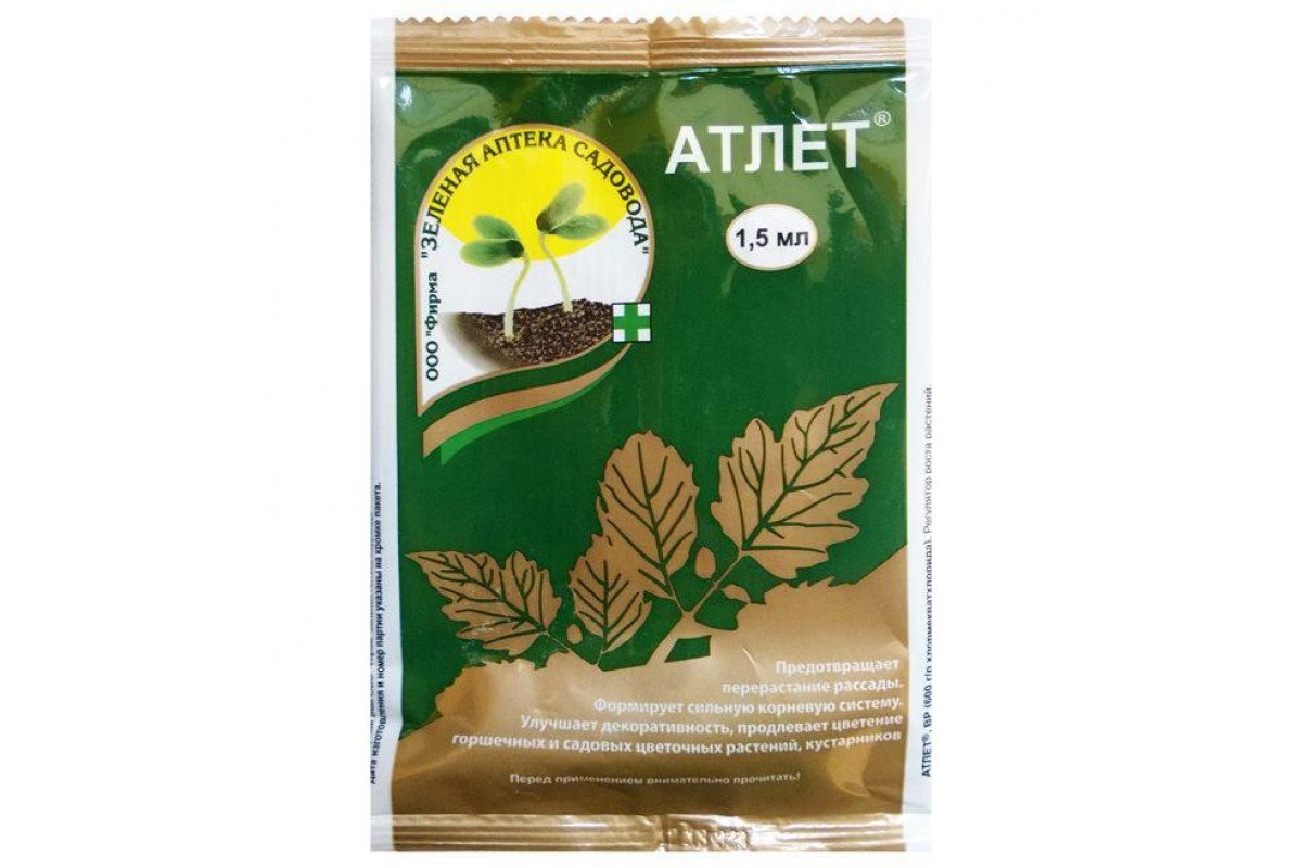 Изображение загружено