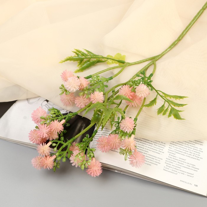 Изображение загружено