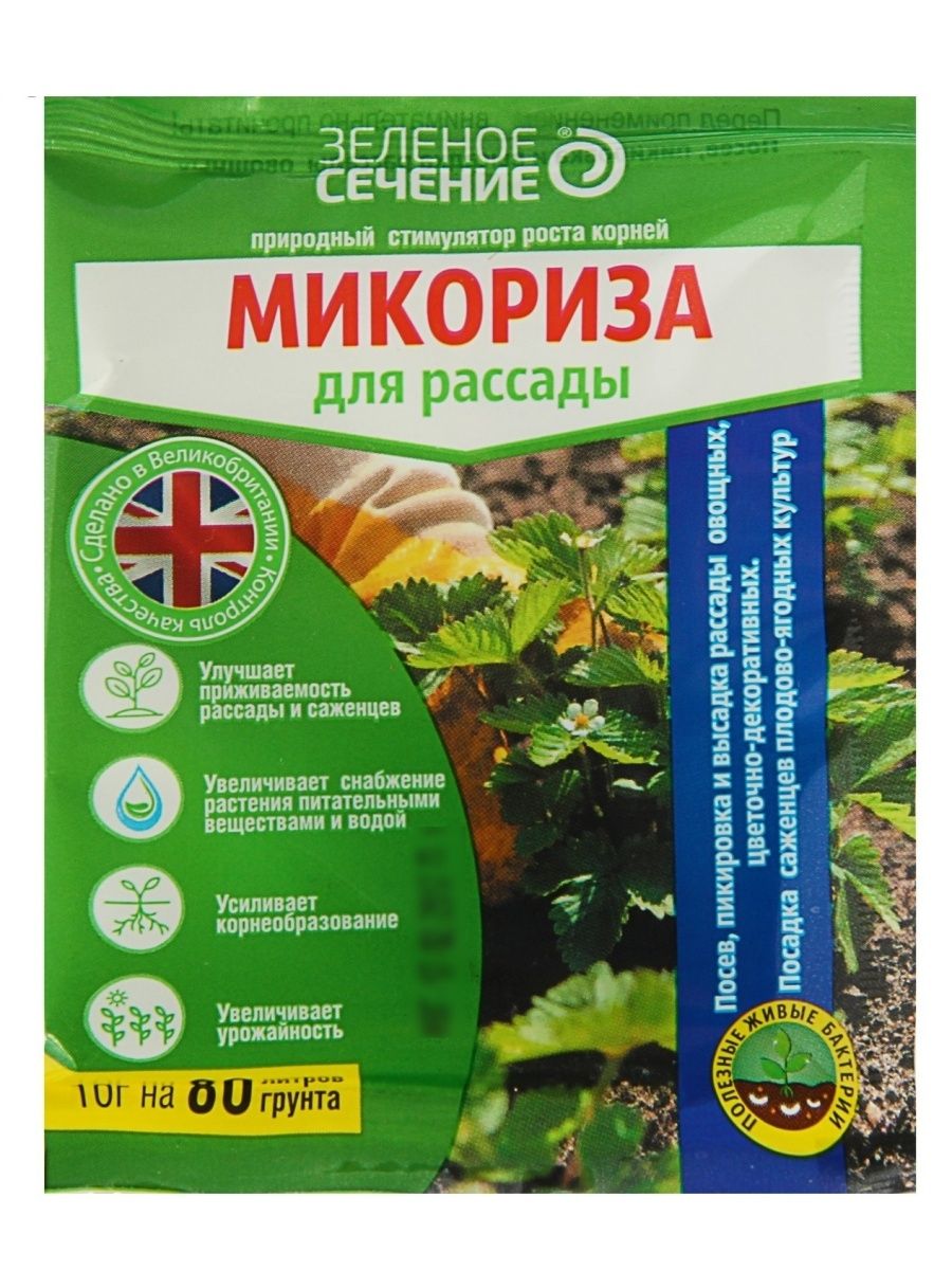 Изображение загружено