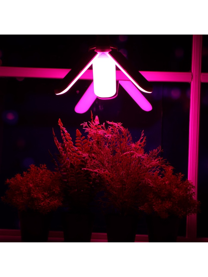 700 - 2026-01-03T093012.189