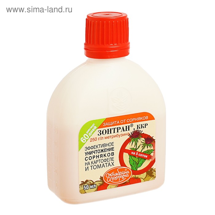 Изображение загружено