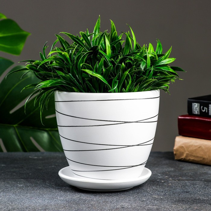 Изображение загружено