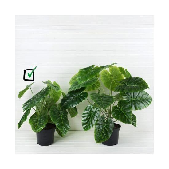 Изображение загружено