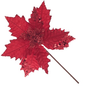 cy3irqnijopj0t6pq414irg0peck5skc