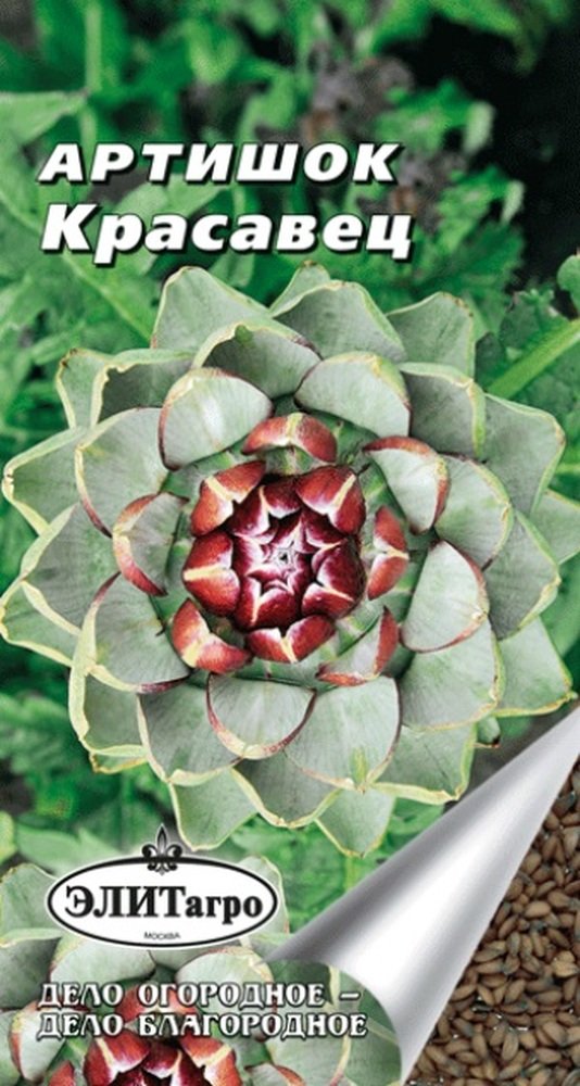 Изображение загружено