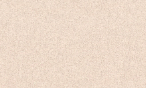 9305-25-раппорт