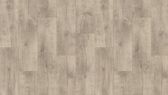 THH_GLADIATOR_SARATOGA_1