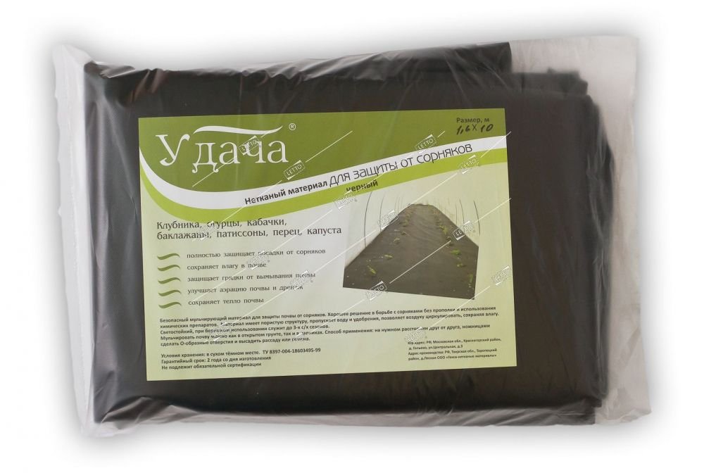 Изображение загружено