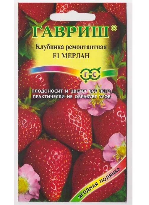 Изображение загружено