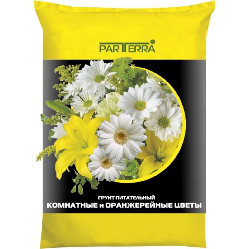 Изображение загружено