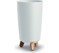 Изображение загружено