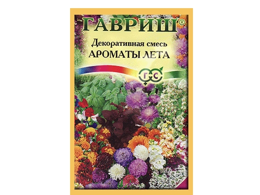 Изображение загружено