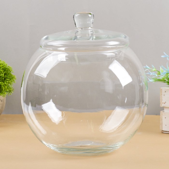 Изображение загружено