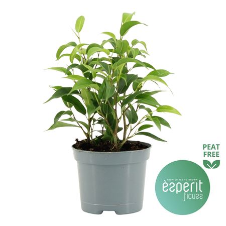 B009229_0000299022_H_1