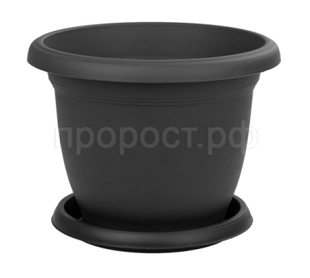 Изображение загружено