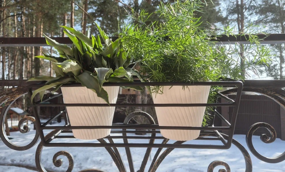 Изображение загружено