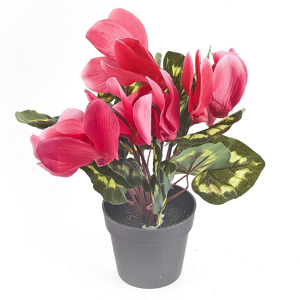 Изображение загружено