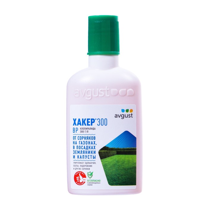 Изображение загружено