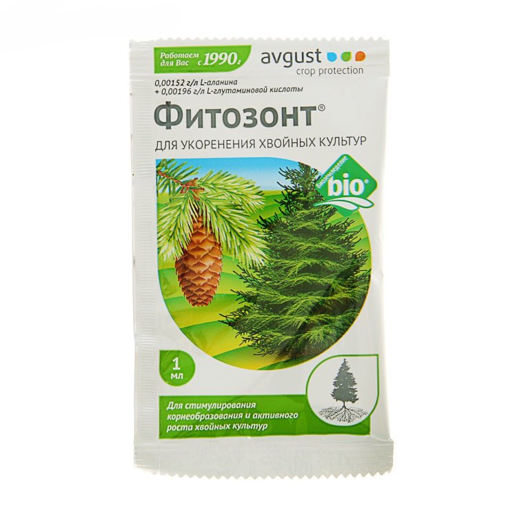 Изображение загружено