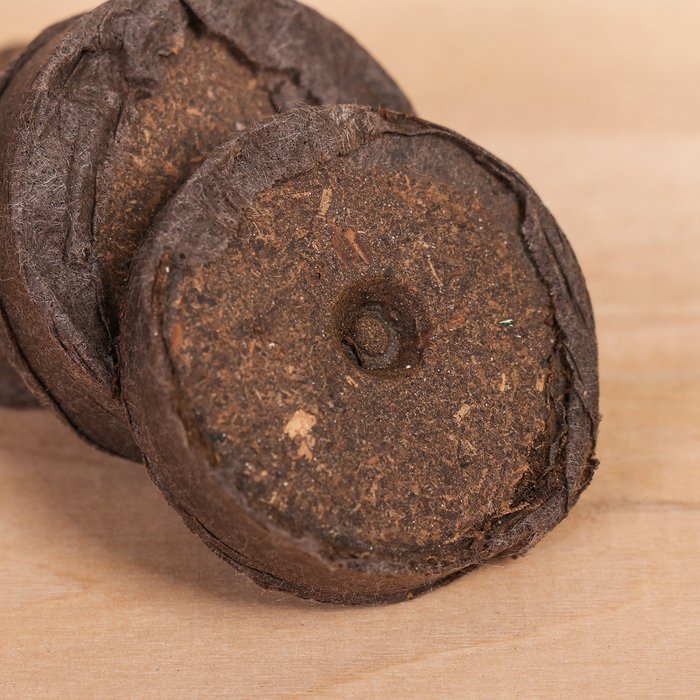 Изображение загружено