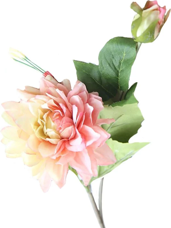 374dd8098a0f8f83409f29974f0136bb1cc82fe644e0786e24de09736bc2077e_web