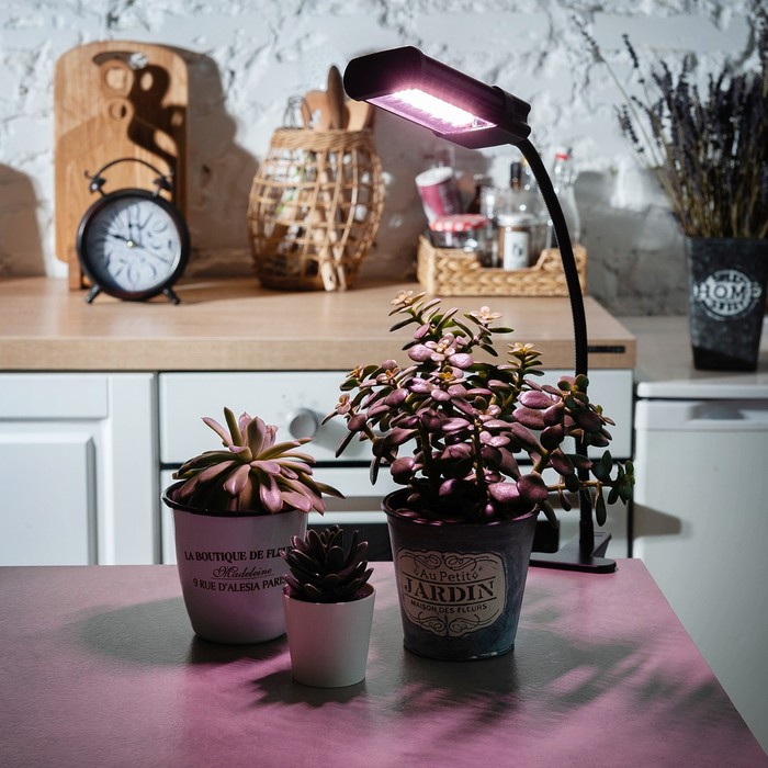 700 - 2025-02-06T114149.242