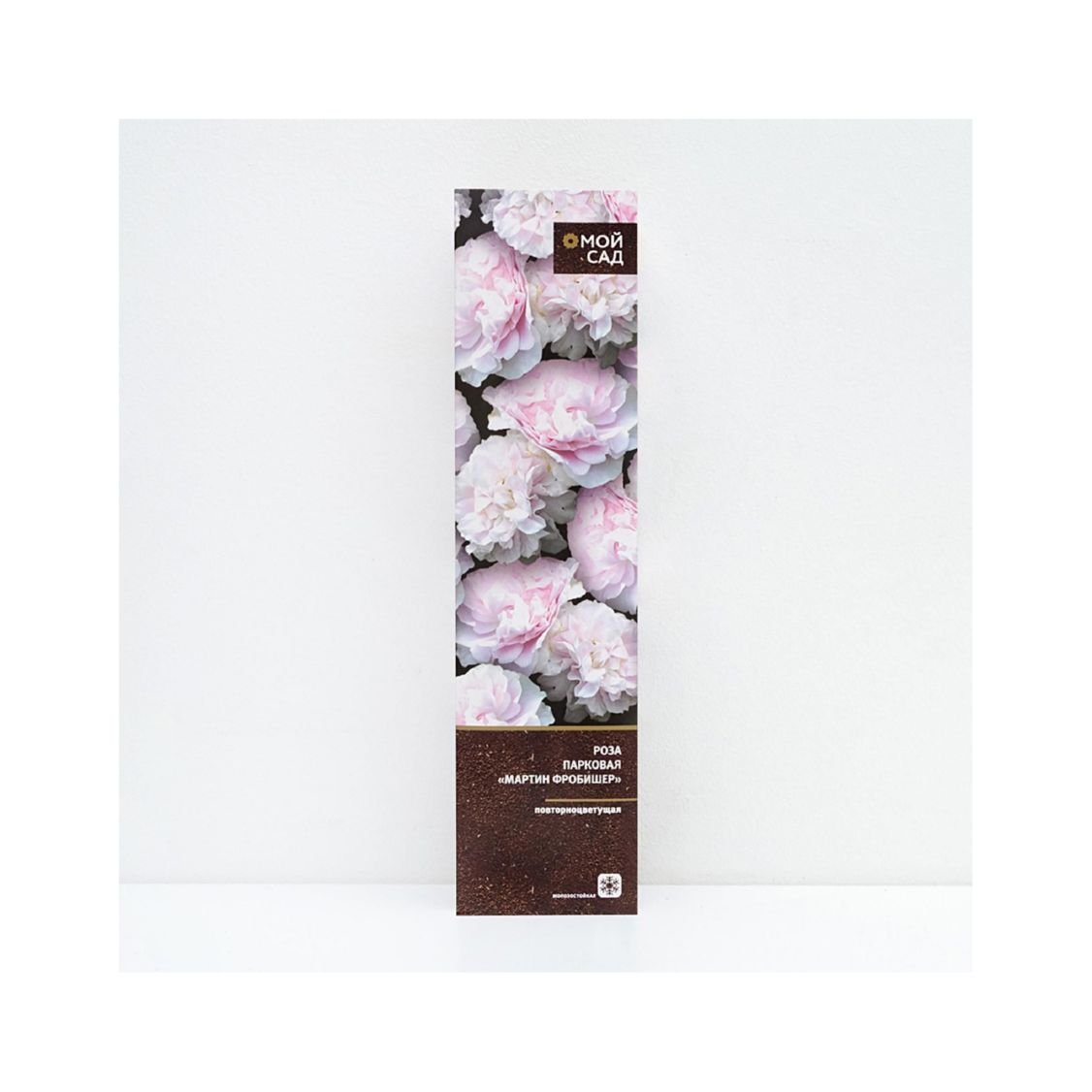 Изображение загружено