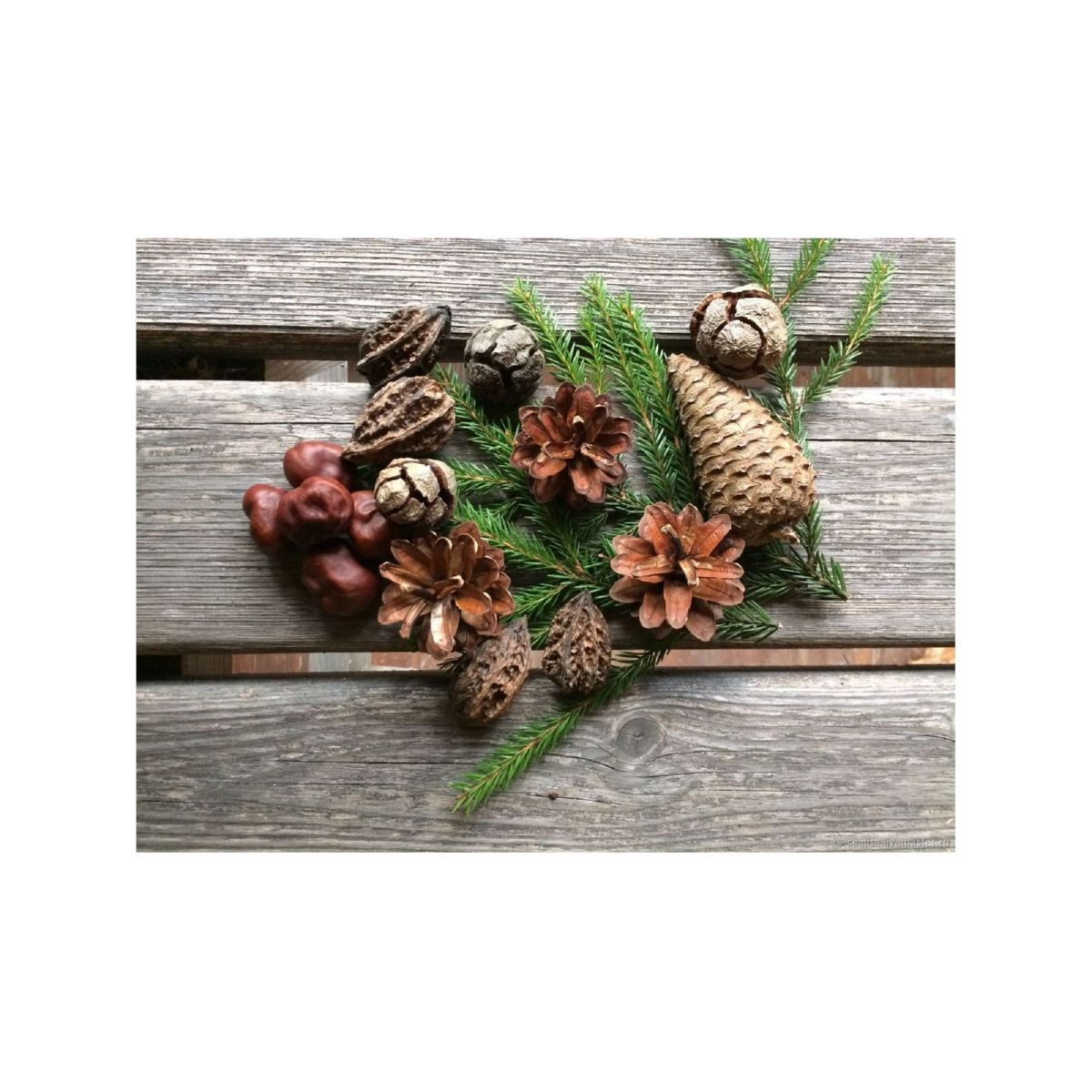 Изображение загружено