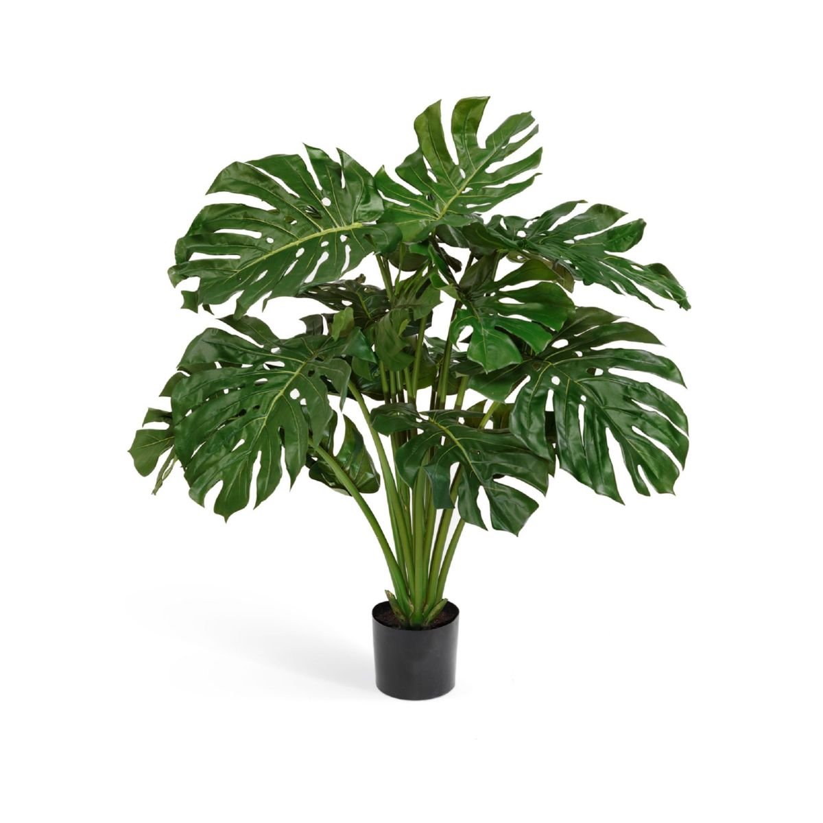 Изображение загружено