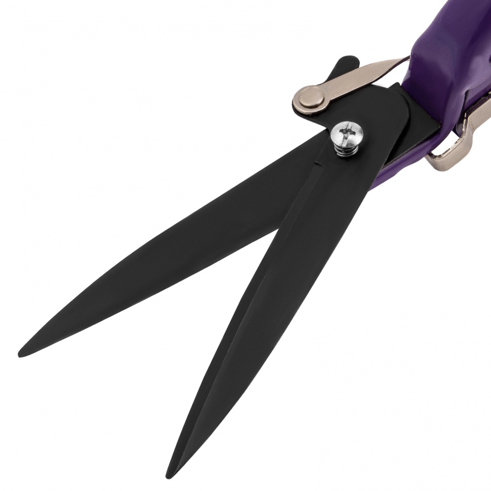 Изображение загружено