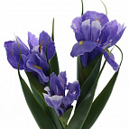 0ba5ce5d5be5ee9b6963f94e06e99f44