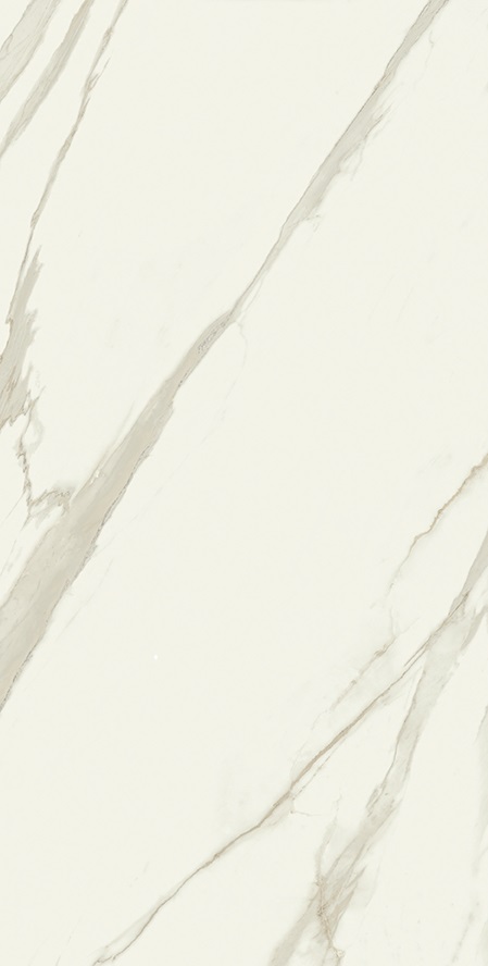 8e9b94caba68b36b9ff4a670cd968874