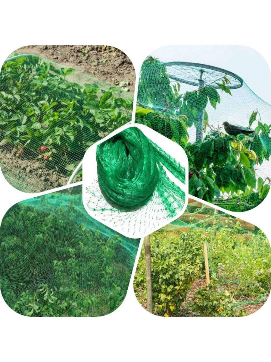 Изображение загружено