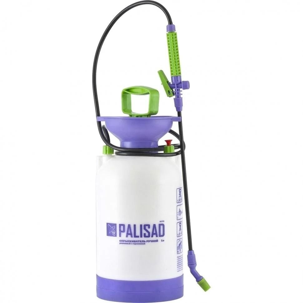 Изображение загружено